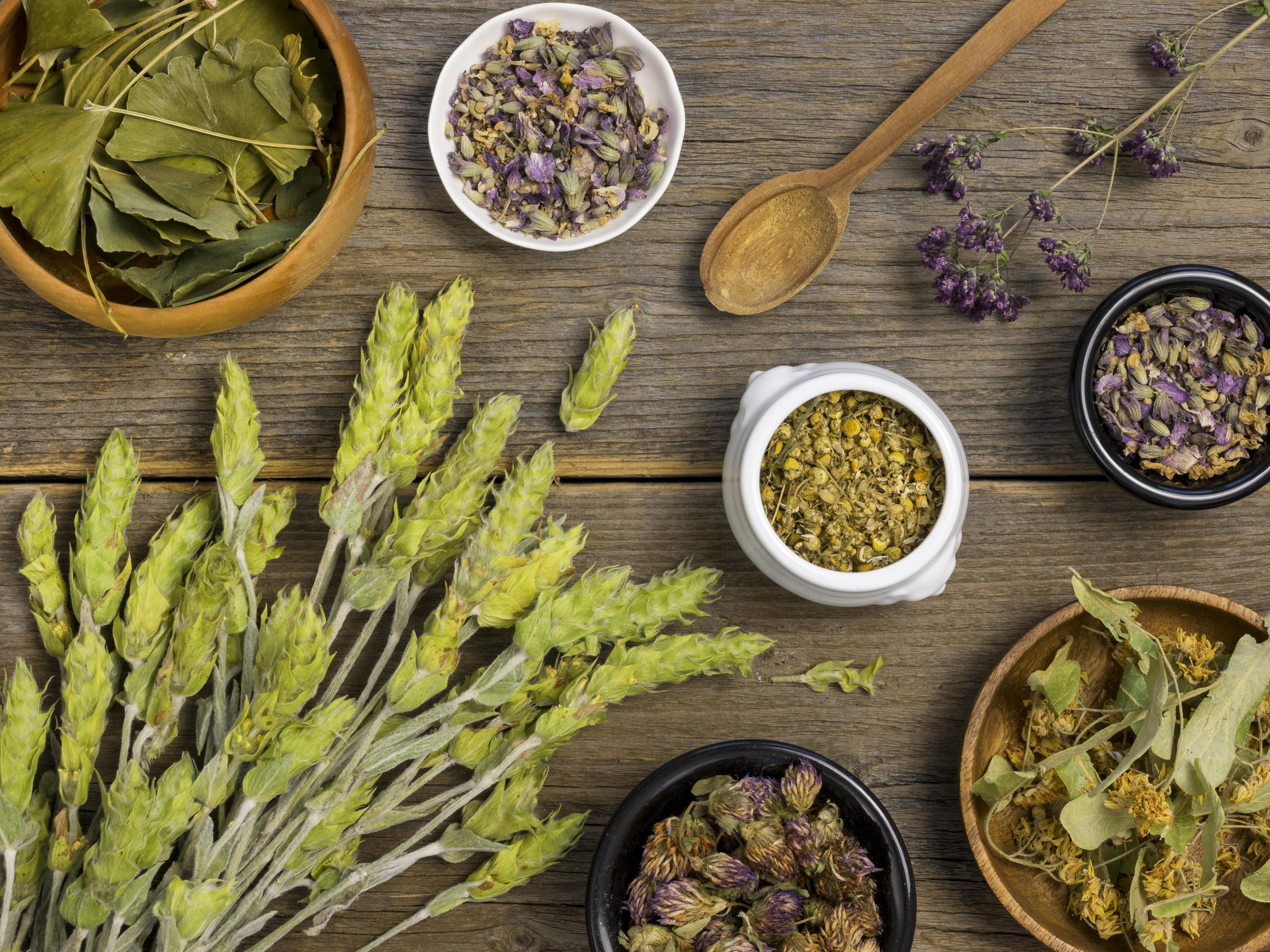 Fitoterapia e Plantas Medicinais